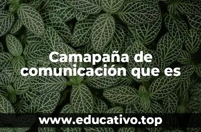 Camapaña de comunicación que es