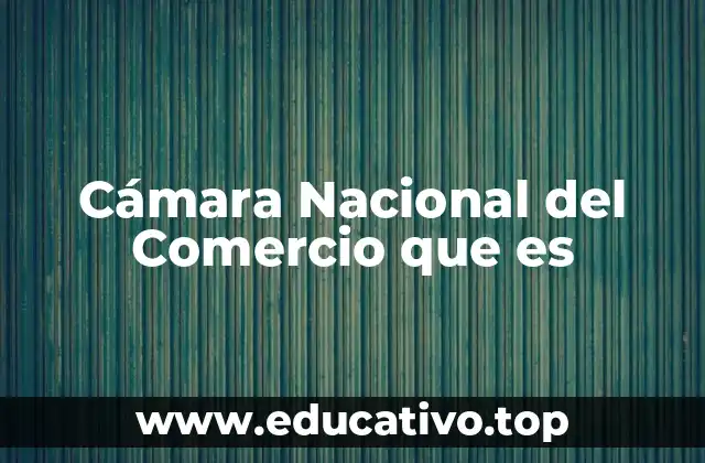 Cámara Nacional del Comercio que es