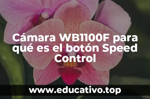 Cámara WB1100F para qué es el botón Speed Control