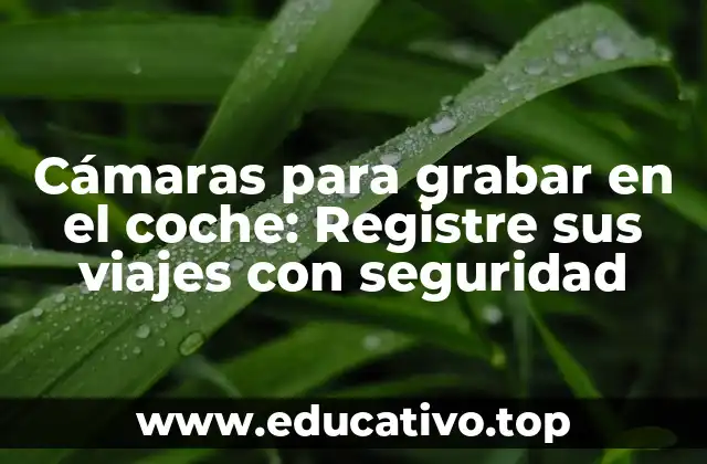 Cámaras para grabar en el coche: Registre sus viajes con seguridad