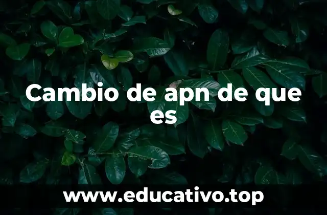 Cambio de apn de que es