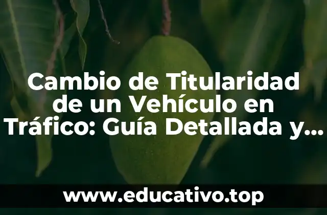 Cambio de Titularidad de un Vehículo en Tráfico: Guía Detallada y Actualizada