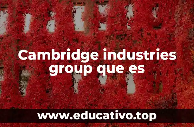 Cambridge industries group que es
