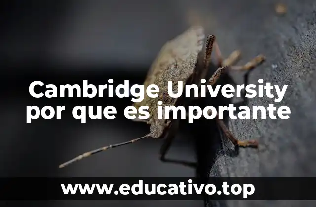Cambridge University por que es importante