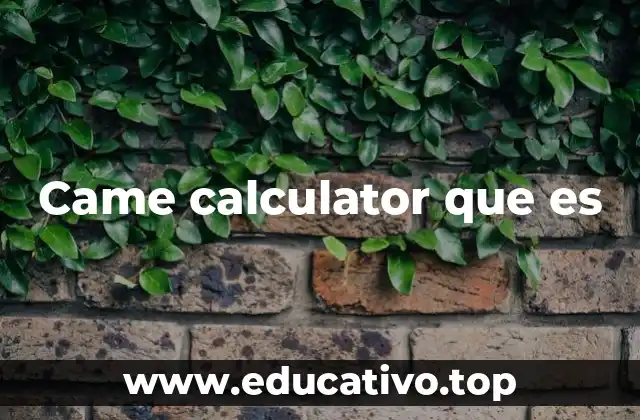 Came calculator que es