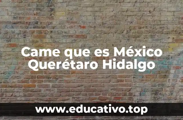 Came que es México Querétaro Hidalgo