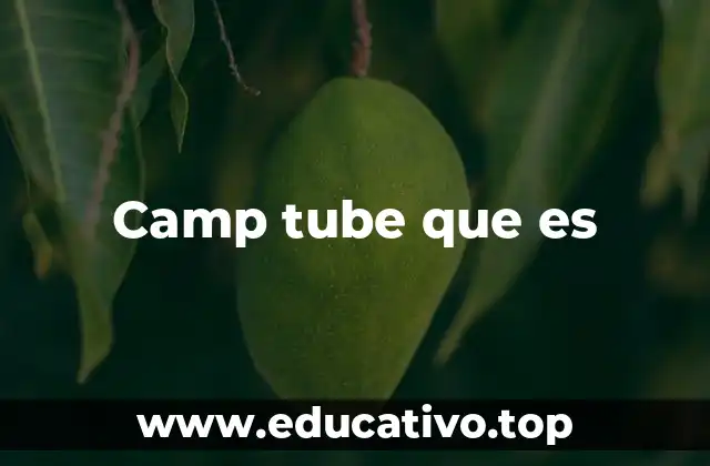 Camp tube que es