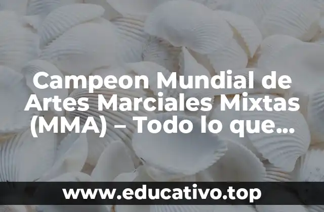 Campeon Mundial de Artes Marciales Mixtas (MMA) – Todo lo que debes saber