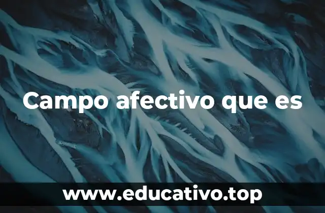 Campo afectivo que es