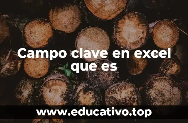 Campo clave en excel que es