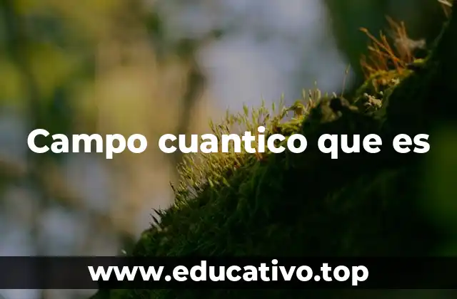 Campo cuantico que es