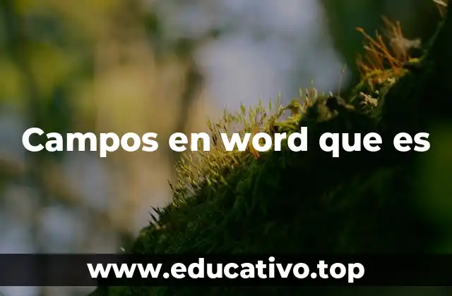Campos en word que es