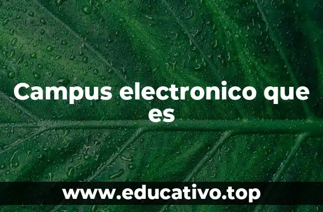 Campus electronico que es