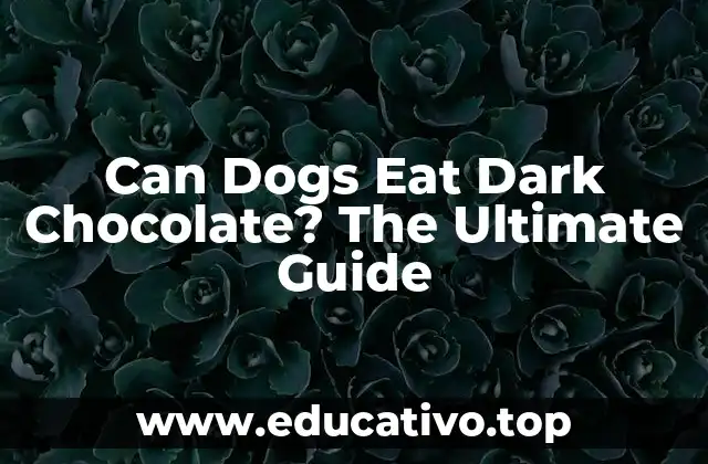 Can Dogs Eat Dark Chocolate? The Ultimate Guide