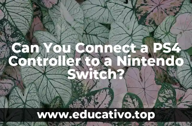 Can You Connect a PS4 Controller to a Nintendo Switch?