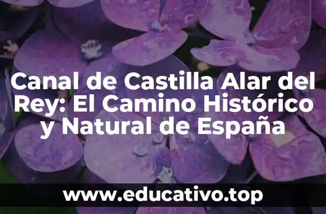 Canal de Castilla Alar del Rey: El Camino Histórico y Natural de España
