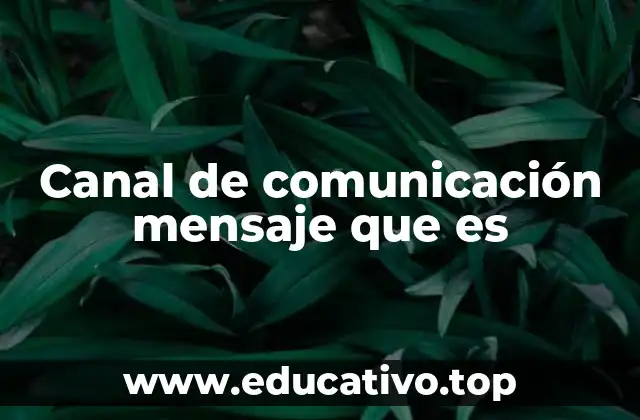 Canal de comunicación mensaje que es