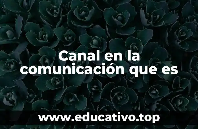 Canal en la comunicación que es