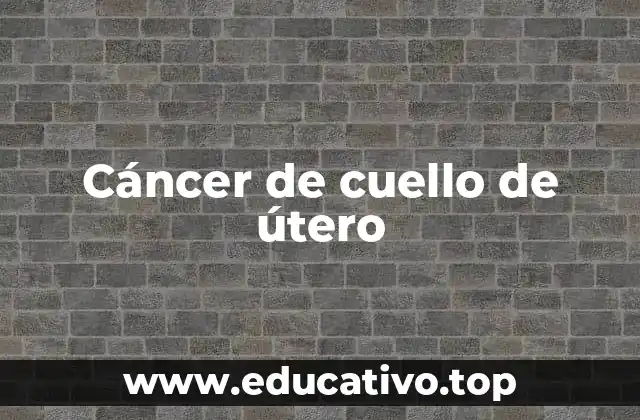 Factores de riesgo y grupos más vulnerables