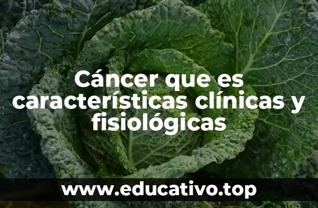 Cómo el cáncer altera los procesos fisiológicos del cuerpo