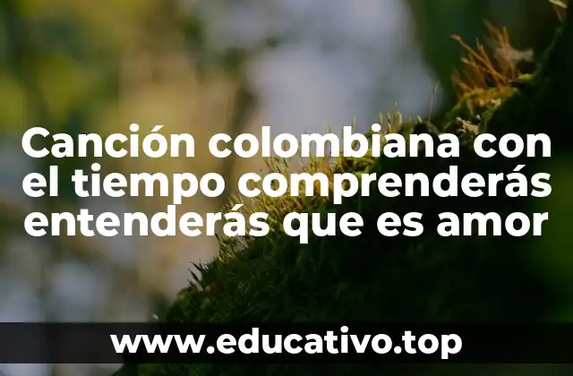 Canción colombiana con el tiempo comprenderás entenderás que es amor