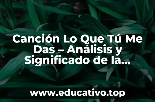Canción Lo Que Tú Me Das – Análisis y Significado de la Popular Canción de Alejandro Sanz