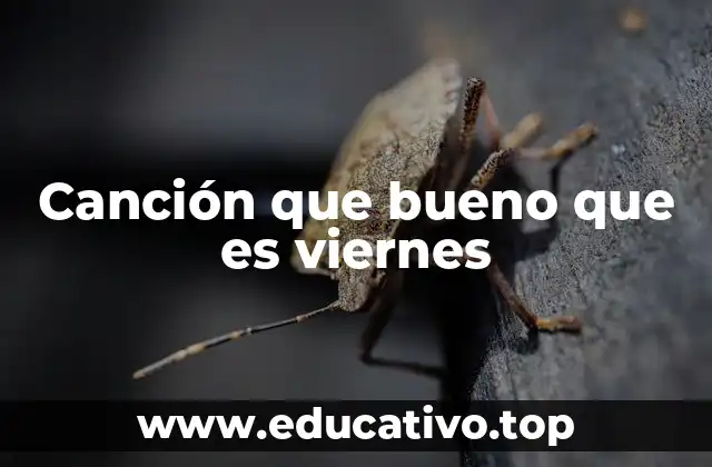 Canción que bueno que es viernes