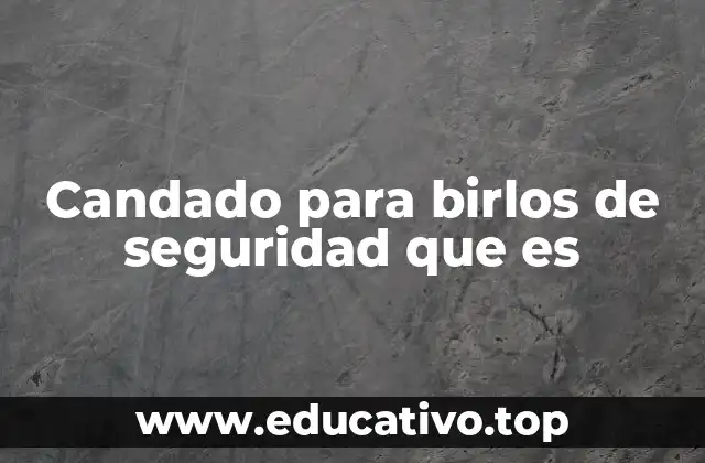 La importancia de los candados de seguridad en la logística