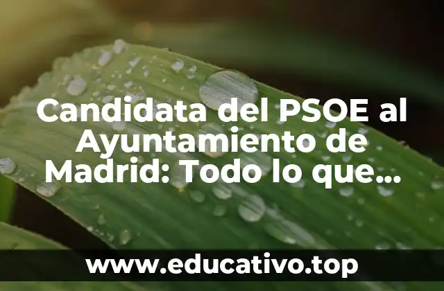 Candidata del PSOE al Ayuntamiento de Madrid: Todo lo que debes saber