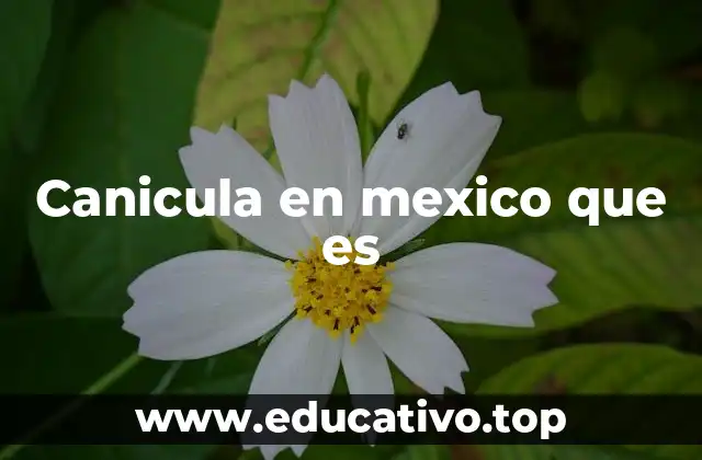 Canicula en mexico que es