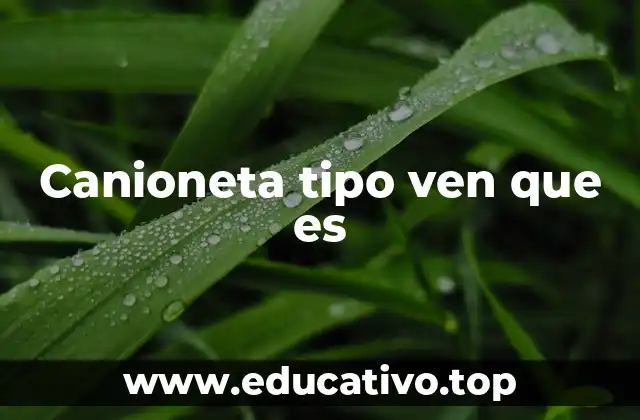 Canioneta tipo ven que es