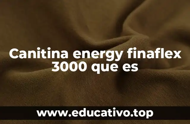 Canitina energy finaflex 3000 que es