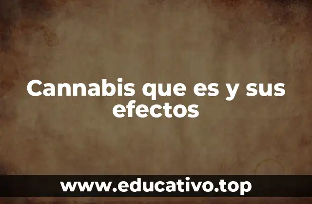 Cannabis que es y sus efectos