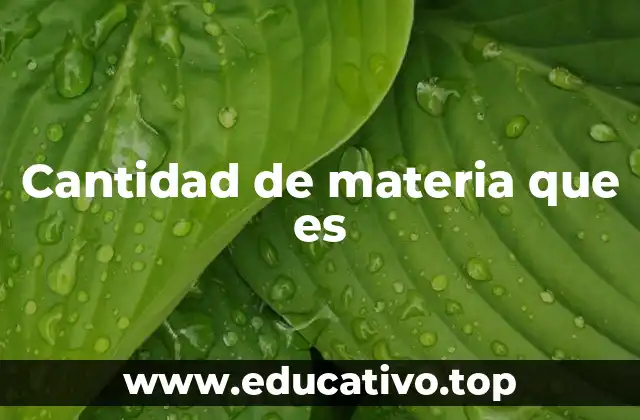 Cantidad de materia que es