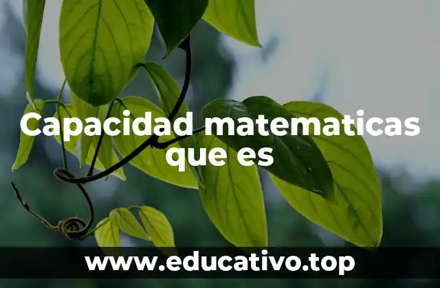 Capacidad matematicas que es