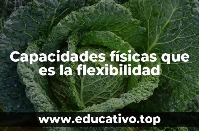 Capacidades físicas que es la flexibilidad