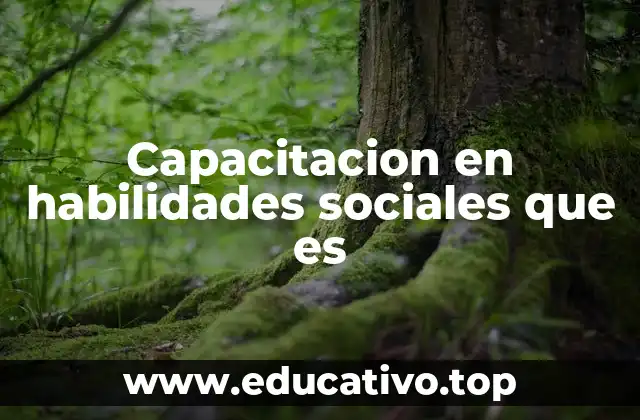 Capacitacion en habilidades sociales que es