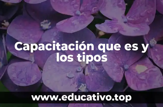 Cómo la capacitación mejora el rendimiento laboral