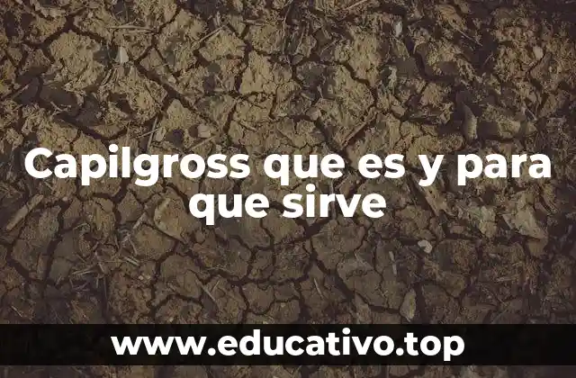 El papel de capilgross en el desarrollo moderno