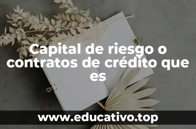 Capital de riesgo o contratos de crédito que es