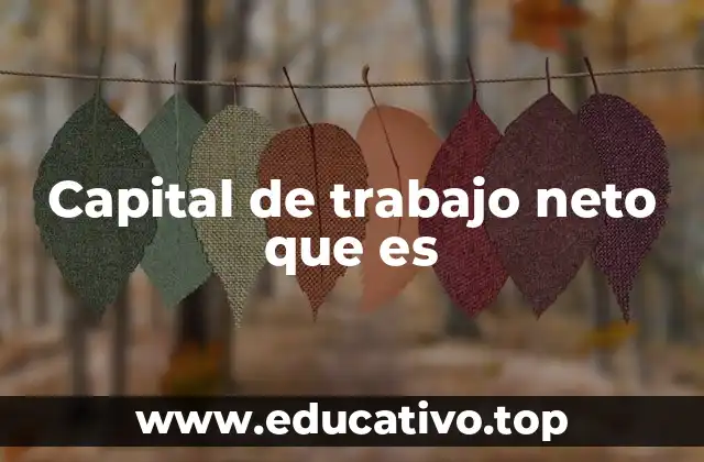 Capital de trabajo neto que es