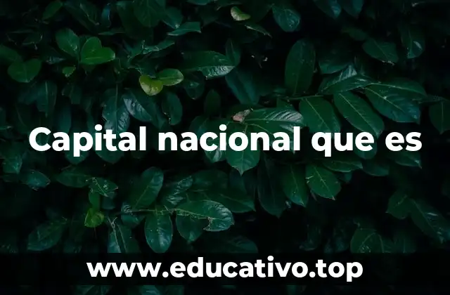 Capital nacional que es