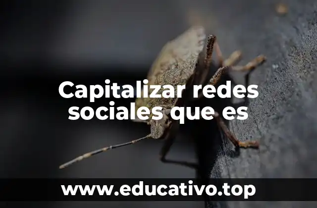 Capitalizar redes sociales que es