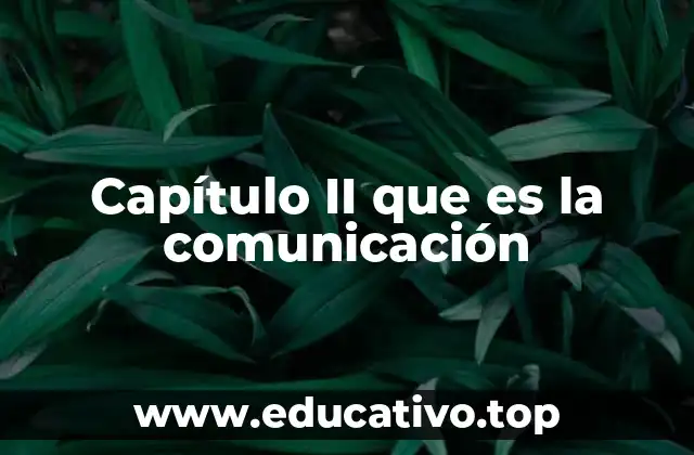Capítulo II que es la comunicación