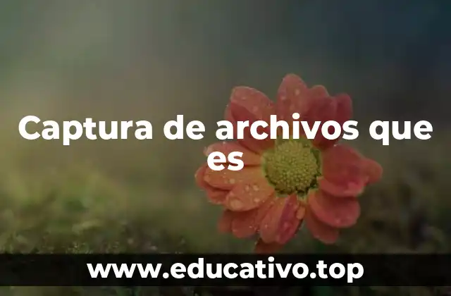 Captura de archivos que es