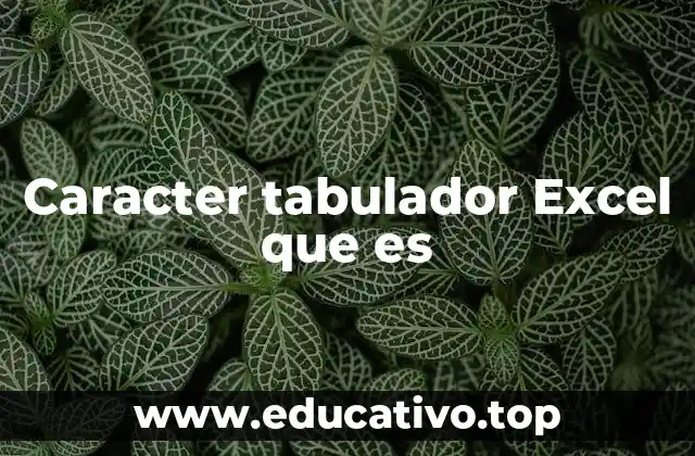 Caracter tabulador Excel que es