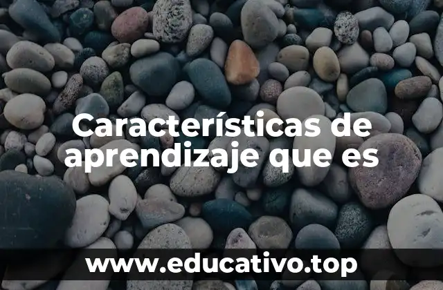 Características de aprendizaje que es
