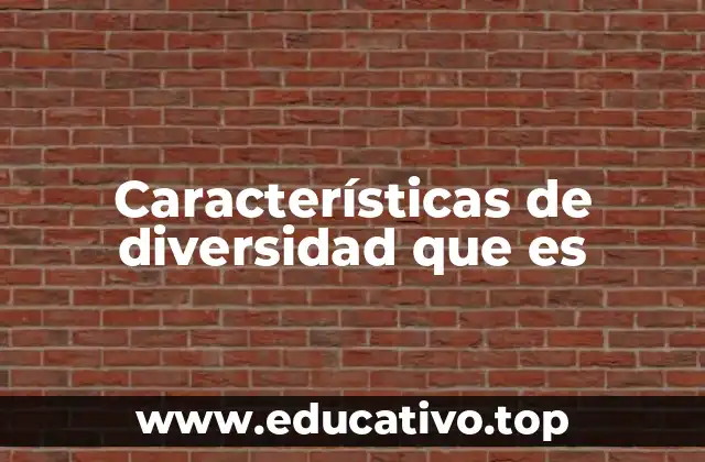 Características de diversidad que es