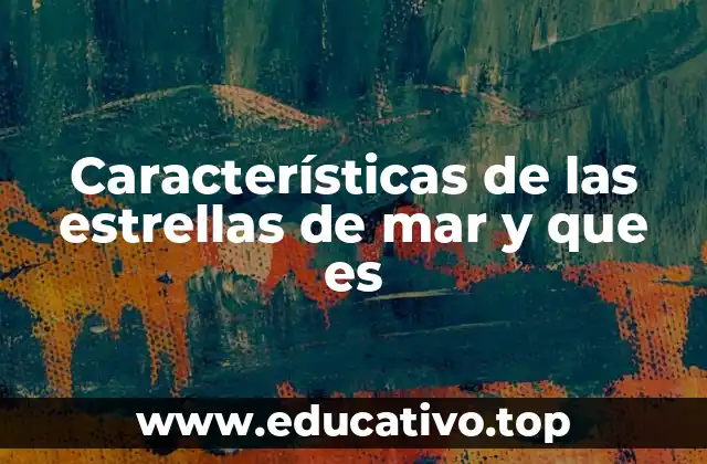 Características de las estrellas de mar y que es