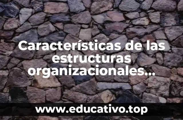Organización vertical y toma de decisiones